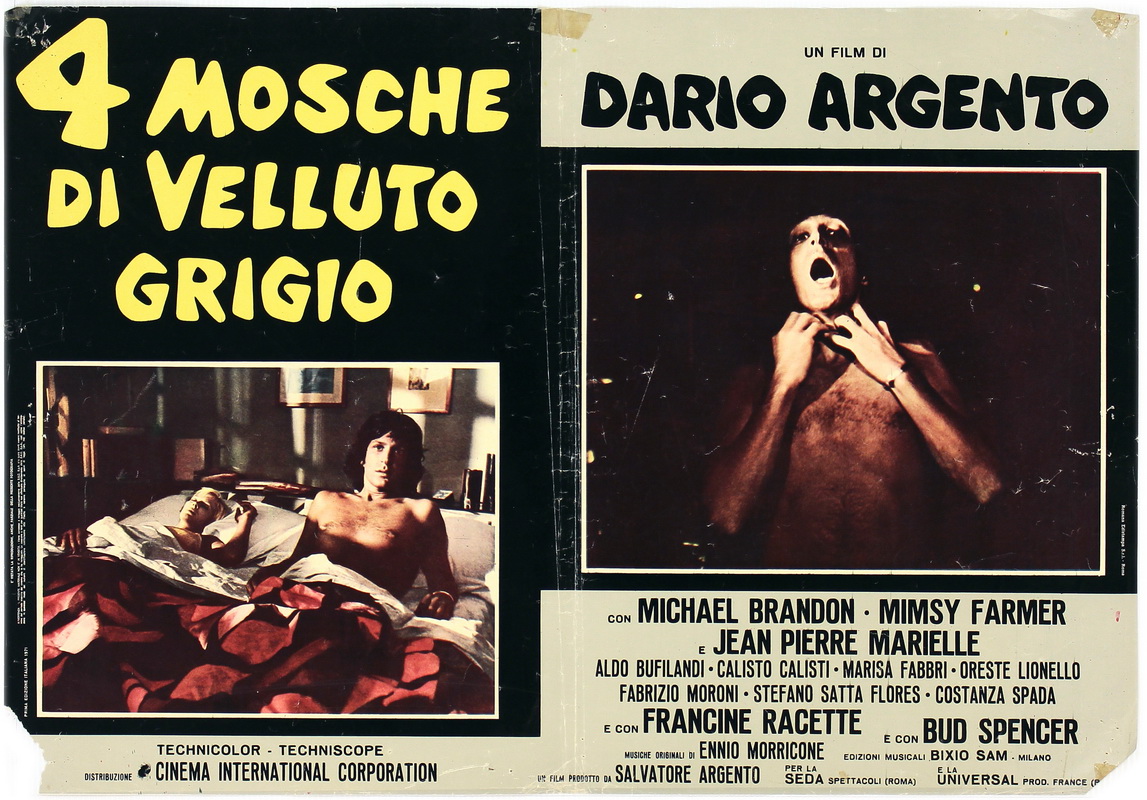 4 mosche di velluto grigio