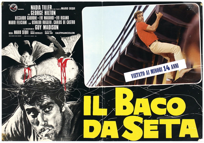 Il baco da seta