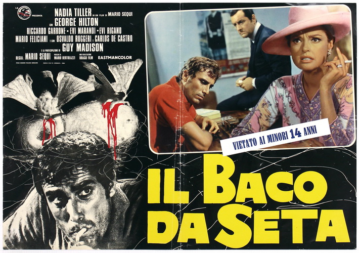 Il baco da seta