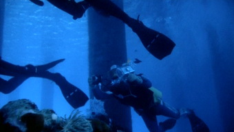 The Bermuda Triangle