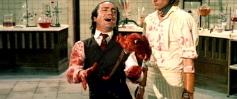 Flesh for Frankenstein