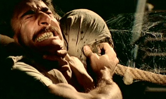 Le notti erotiche dei morti viventi