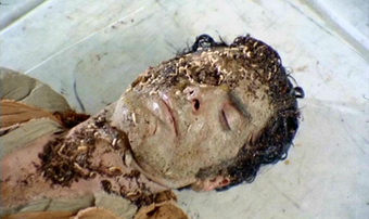 Le notti erotiche dei morti viventi