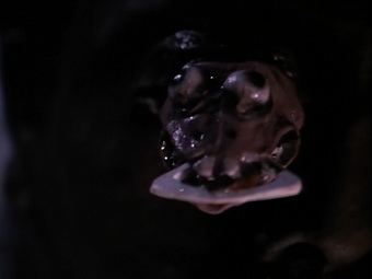 Silent night, deadly night - V: The toy maker