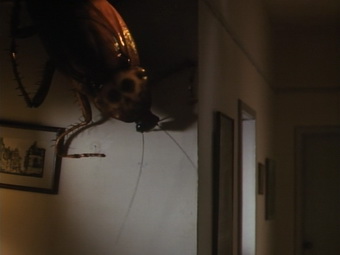 Silent night, deadly night - IV: Initiation